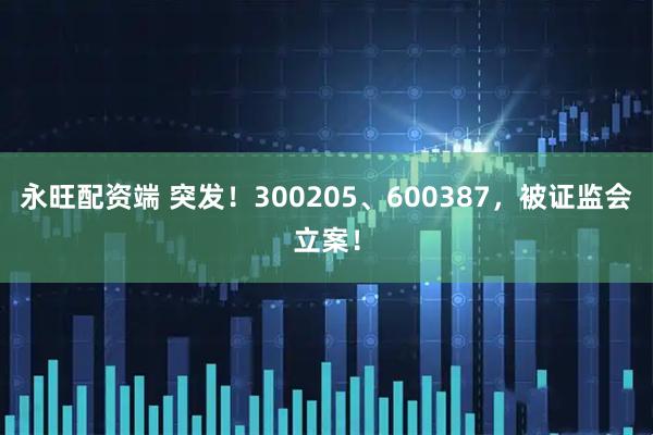 永旺配资端 突发！300205、600387，被证监会立案！