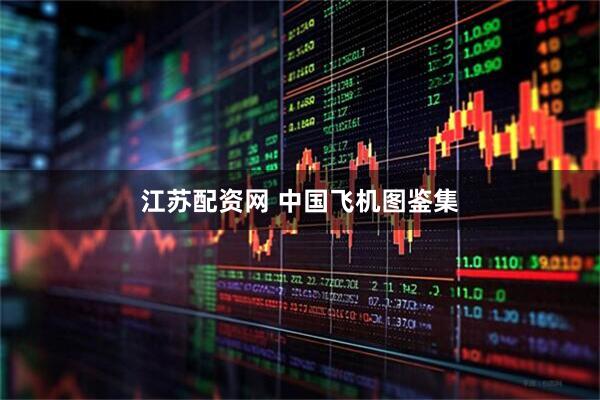 江苏配资网 中国飞机图鉴集