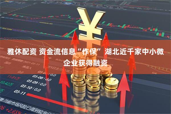 雅休配资 资金流信息“作保” 湖北近千家中小微企业获得融资